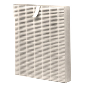 hepa filter for the AiraNui