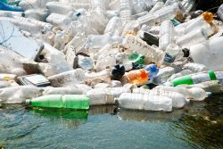 plastic bottles in landfill