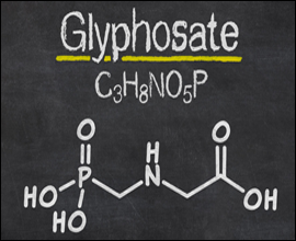 glyphosate blog
